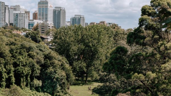 Welcome to Australia's most expensive street